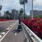 Puente de las Flores