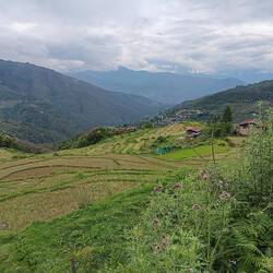 Landscape on the way to Punakha