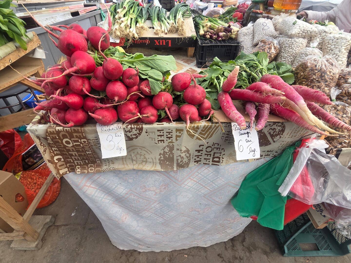 Peculiar radish, looked like radish crossed with daikon
