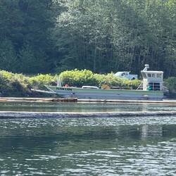 One of the logging operation's barge boats came in.
