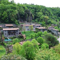 Rupit