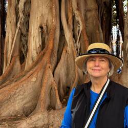 Glenda and a Banyan Tree