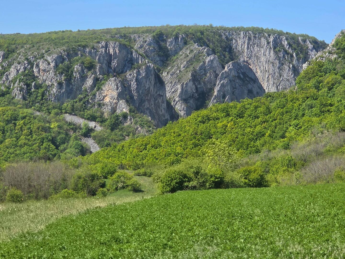 Turda gorges