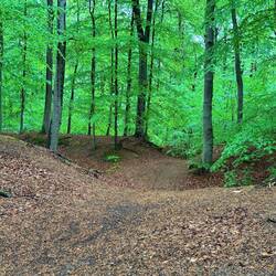 Schwedenschanze