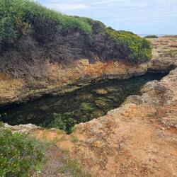 There were fish in this rock pool