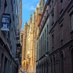 Sun dappled cathedral
