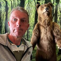 Je vous l'avais bien dit qu'il y avait des ours dans le coin