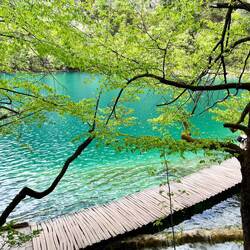Les fascinantes eaux turquoises des lacs de Plitviče