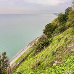 Botanischer Garten, direkt am schwarzen Meer