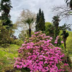 Botanischer Garten