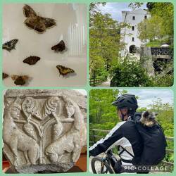 Museum im Kloster St. Michele