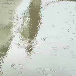Regen