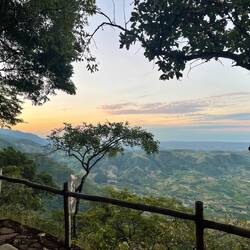 Evening view