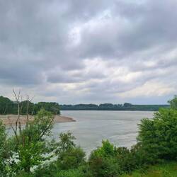 Grauer Himmel, grauer Fluss.