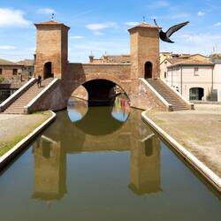 Photo-bombed by a pigeon — Trepponti Comacchio, Italy