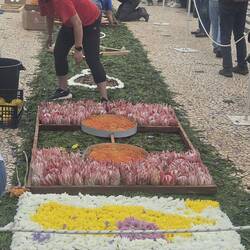 The flower show is in town