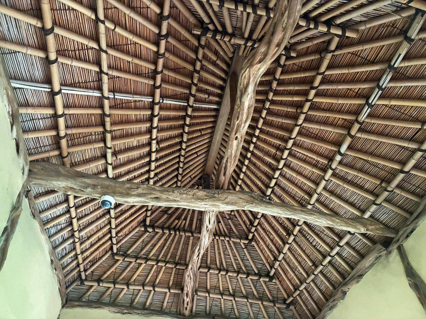The roof of a tea house, Rikugien Gardens