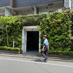Walking in my posh Sugamo neighborhood: a green wall