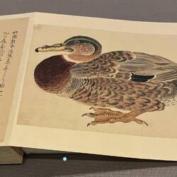 A handmade book