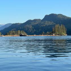 The two tugs and log boom. (One tug in front, the other in back)