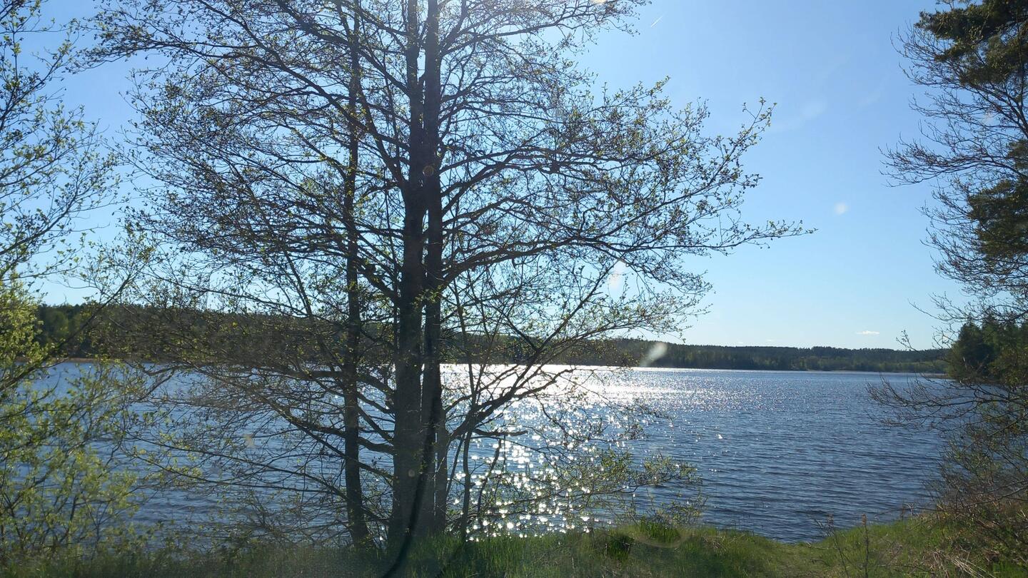 Ankunft
