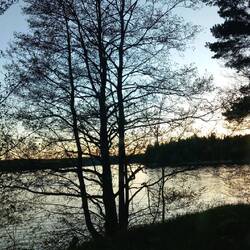 Tschüß Sonne🌅