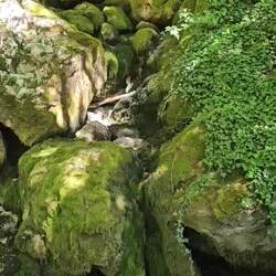 an der Quelle
