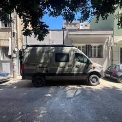 Mica und Ole warten geduldig im Schatten