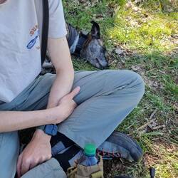 Mittagspause mit kleinem Nickerchen