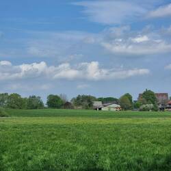 Na, wer hat es sich denn hier auf der Wiese gemütlich gemacht?