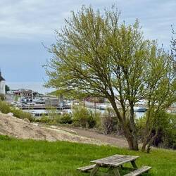 Hafen Hasle