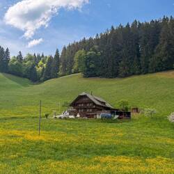 Frühlingslandschaft