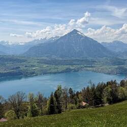Unverkennbar der Niesen beim Thunersee