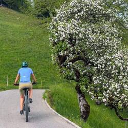 Die Natur zeigt sich in den schönsten Farben