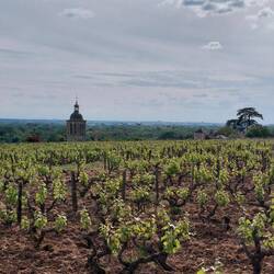 Overlooking the Vouvray Catherdral with La Loire Valley below