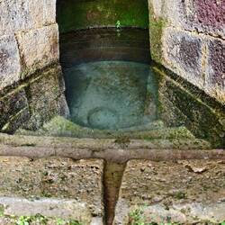 Der Brunnen