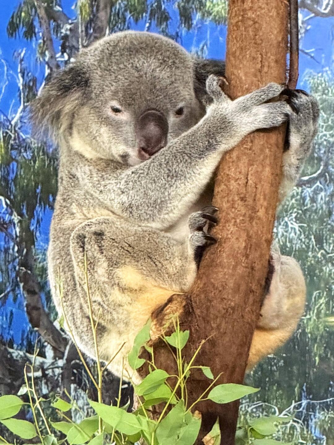 YES, Karen took this photo!!!