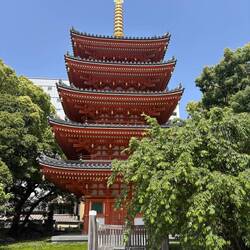 Die berühmte fünfstöckige Pagode des Tochoji-Tempels.