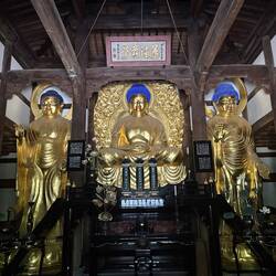 Das sind die Buddhas im Shojukuji-Tempel.