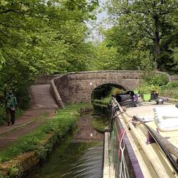 Poor Tiger got very confused by this roving bridge, following the grass to be close to Vicky onboard