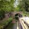 Poor Tiger got very confused by this roving bridge, following the grass to be close to Vicky onboard