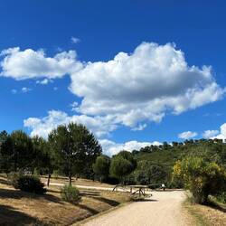 Unser Park mit Pinienwald