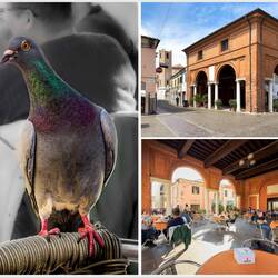 Time for an aperativo or two at the public granary — Comacchio, Italy.