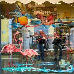 Promoting the flamingos of the Po Delta in a shop window — Comacchio, Italy.