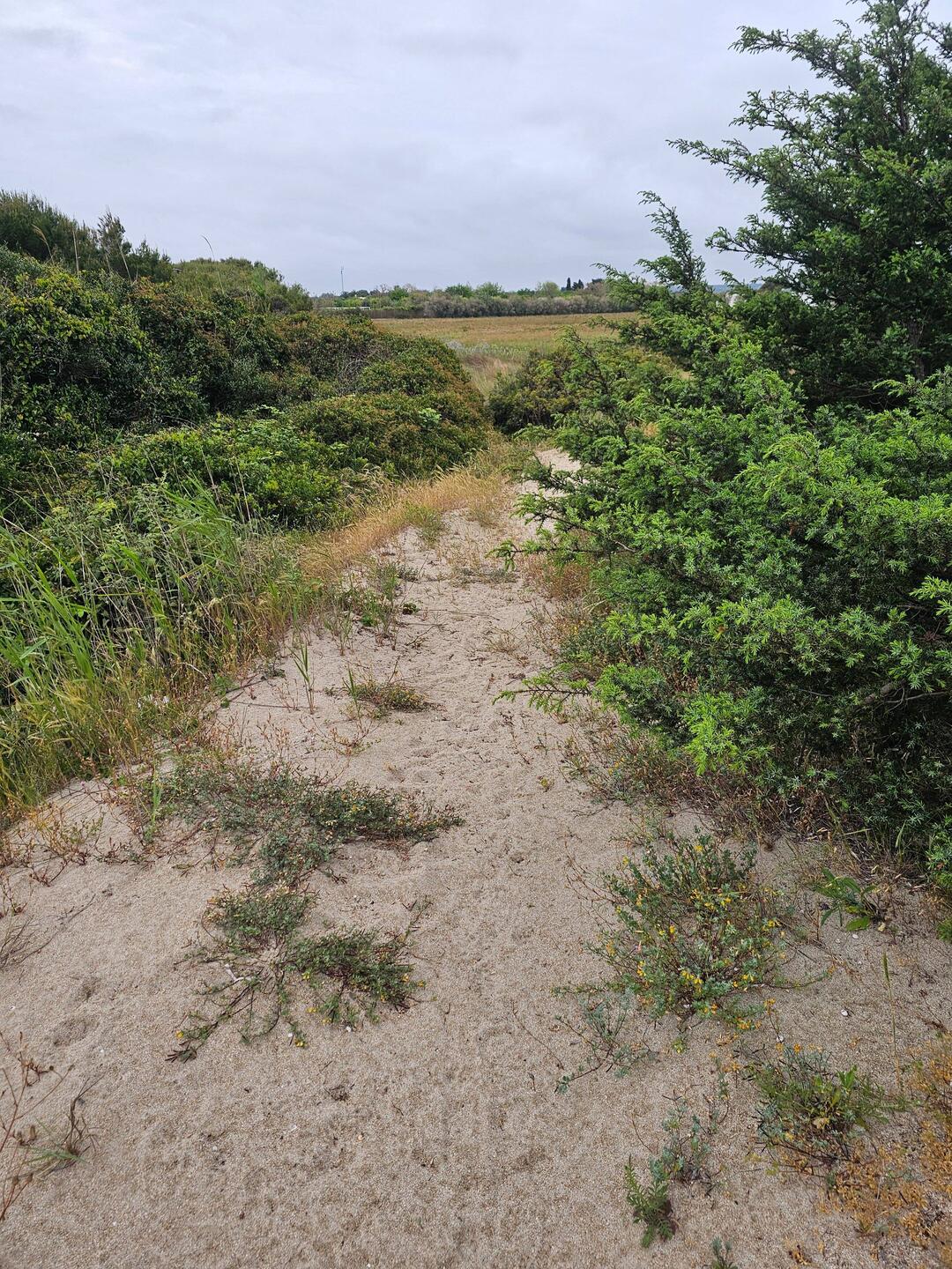 Sand is never my favorite to walk on, but it is soft