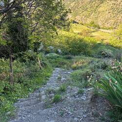 Stone steps to control erosion