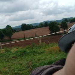 Les chevaux sont toujours dubitatifs quand ils me voient. Ils n'aiment pas la concurrence