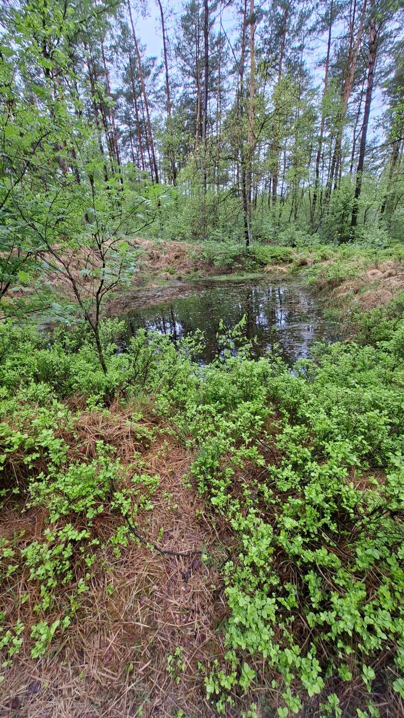 Quellgebiet Luhe