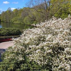 Der Frühling hat es geschaftt: Er hat uns eingeholt (Oslo)