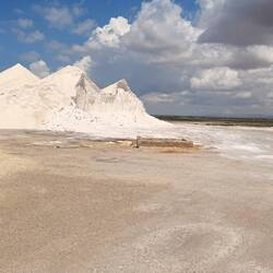 Saline